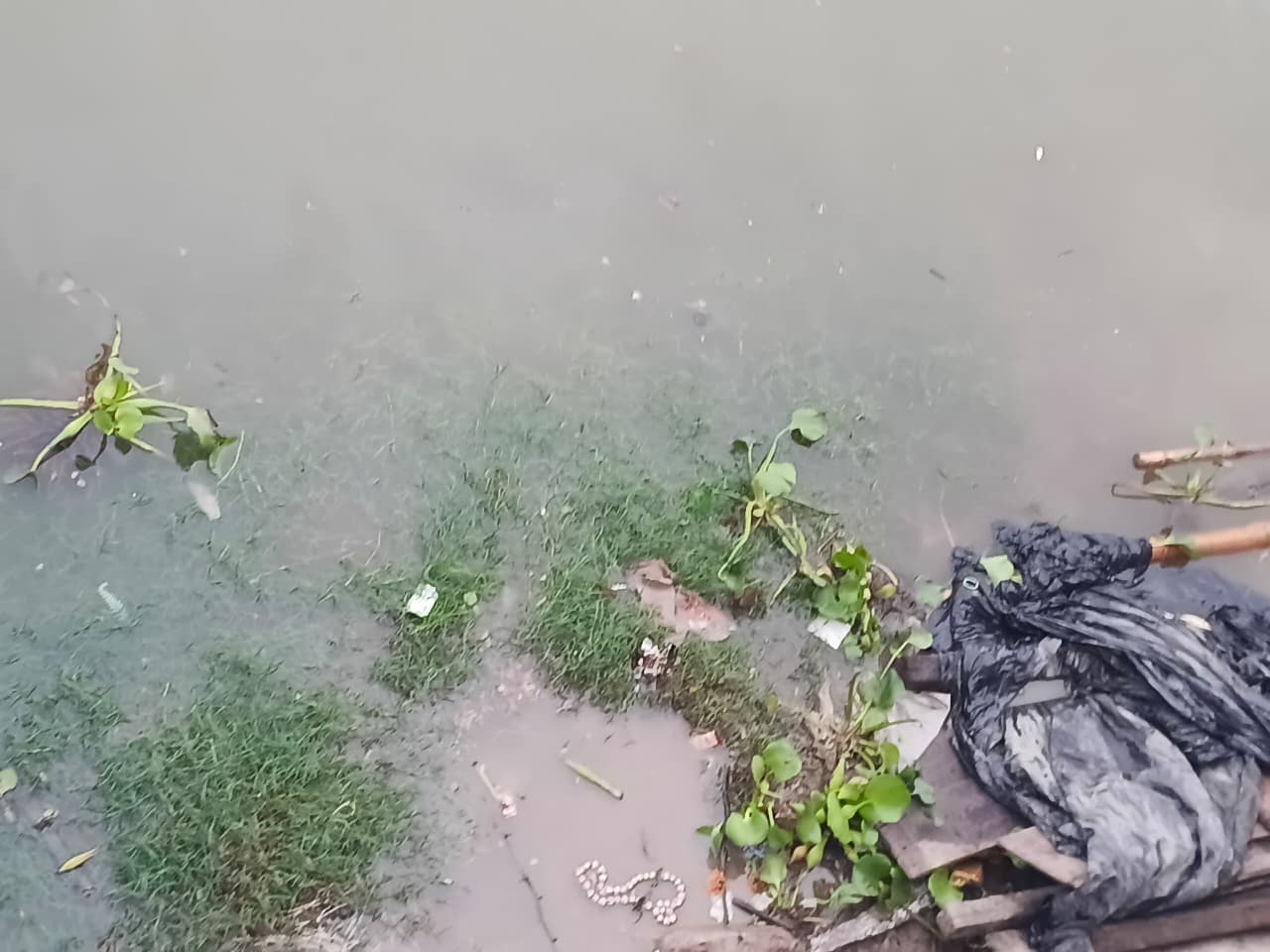 Close-up: plastic, organic waste and hyacinth on the surface