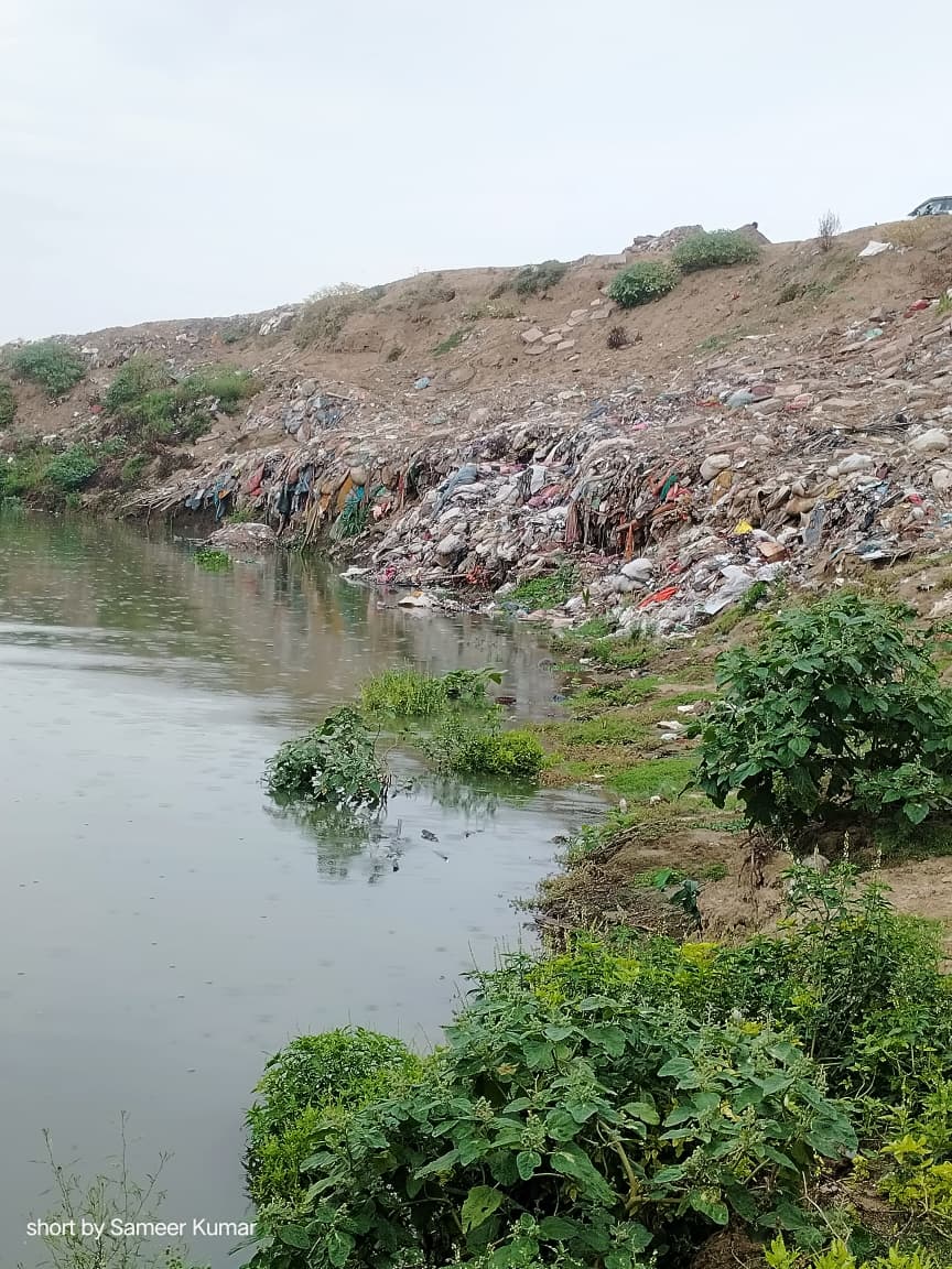 Documenting shoreline waste for aggregation planning
